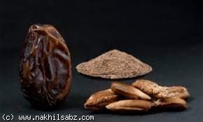 Date Seeds Powder+